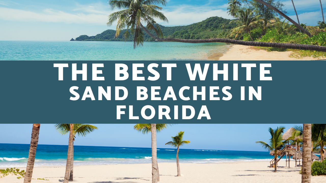 white sand beaches florida